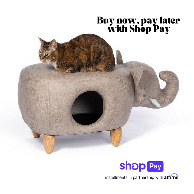 Cat Beds and Hideouts The Paws Corner