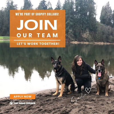 Affiliate Program