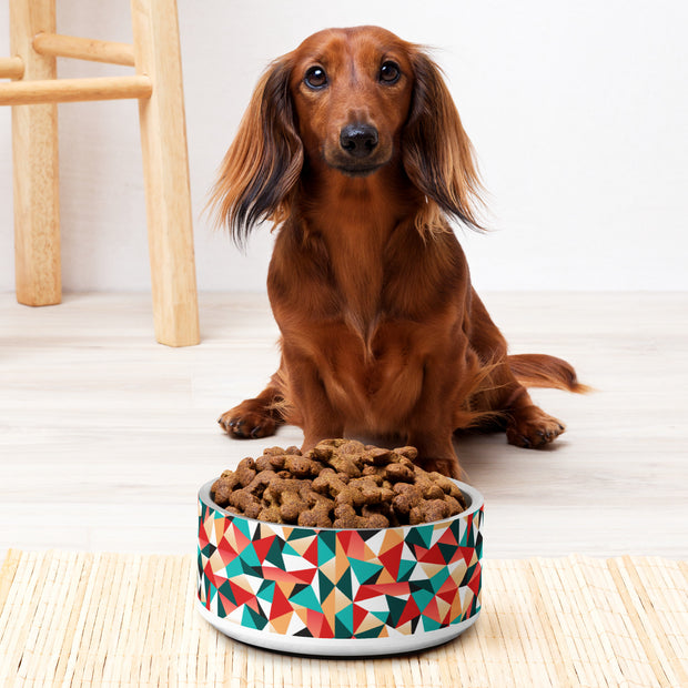Stainless Steel Pet bowl
