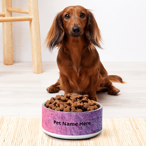 customized stainless steel pet bowl