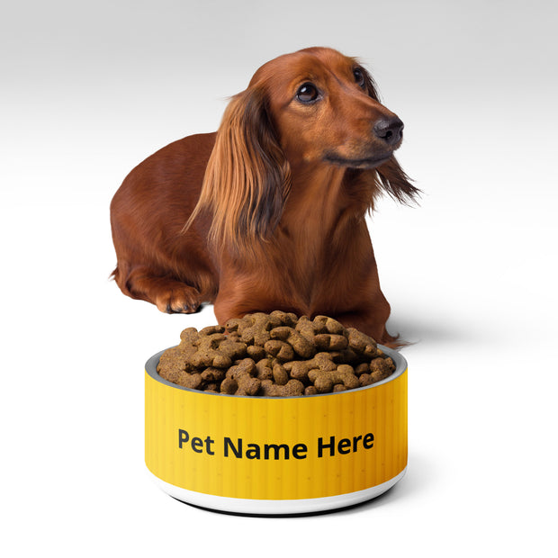 customized stainless steel pet bowl