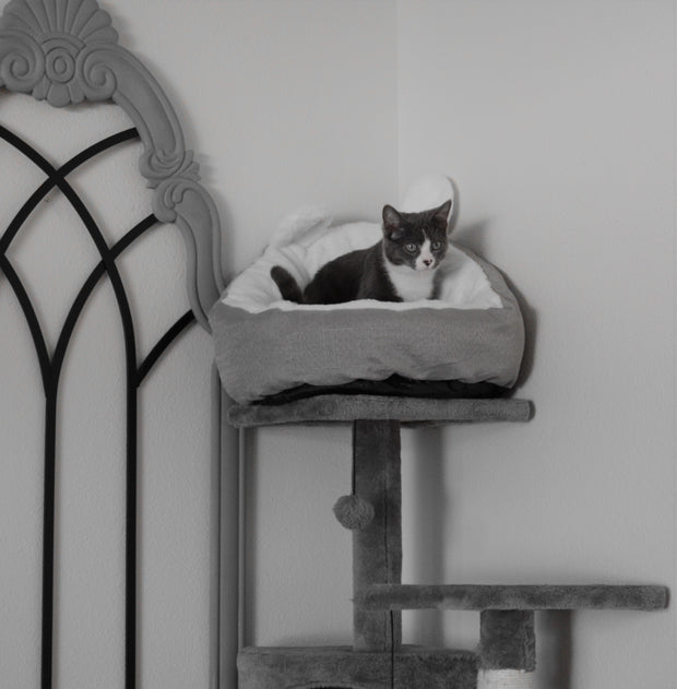 cat bed sleeping bag