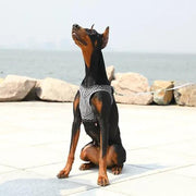 Air Fly Dog Harness