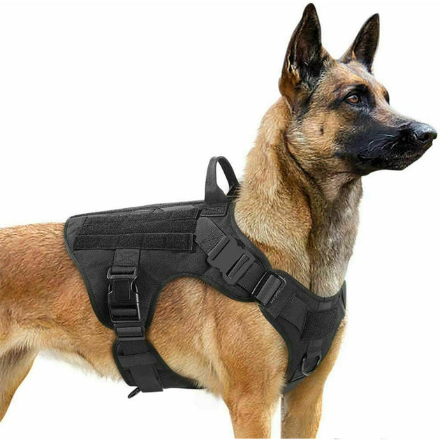 Adjustable Military Tactical Dog Harness – The Paws Corner
