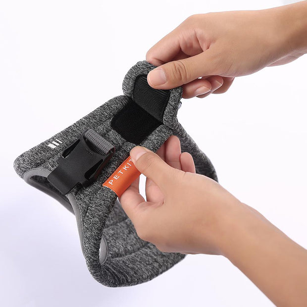Air Pro Dog Harness