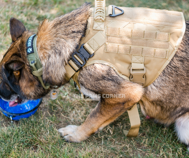 Adjustable Military Tactical Dog Harness