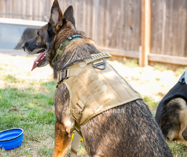 Adjustable Military Tactical Dog Harness