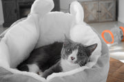 cat bed sleeping bag