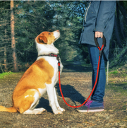 Durable Dog Leash Rope