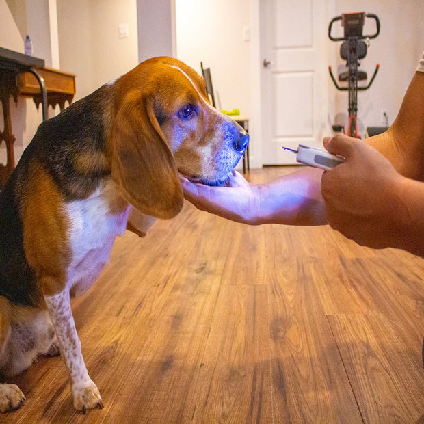 Safe Grooming LED Pet Nail Clipper 