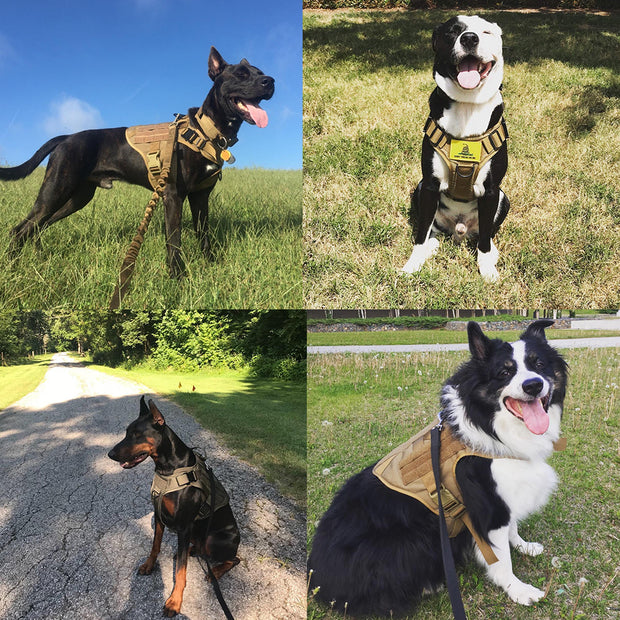 Adjustable Military Tactical Dog Harness