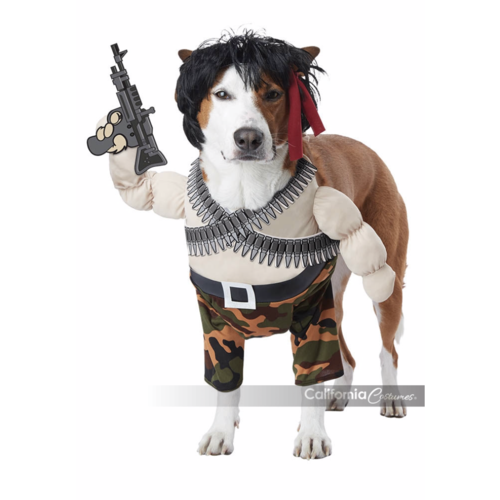 Hero Dog Costume