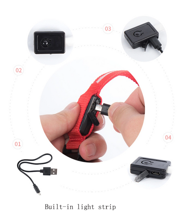 Pet LED Collar (USB Rechargeable)