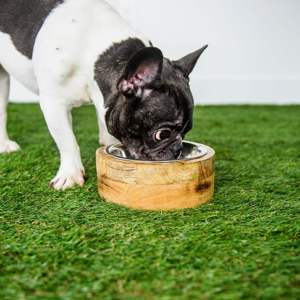 Mango Wood Pet Bowl - Single