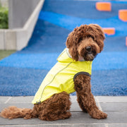 Reversible RaincoatDog outfit, dog apparels, dog clothes, pet apparels, dog costume