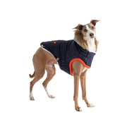 Dog outfit, dog apparels, dog clothes, pet apparels, dog costume