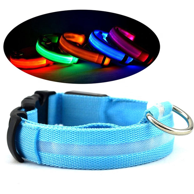 Pet LED Collar (USB Rechargeable)