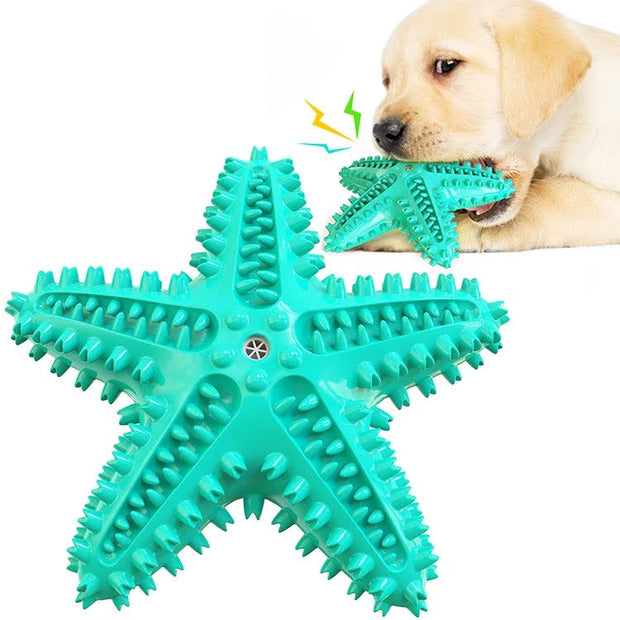 3 Pack Squeaky Dog Toothbrush Toys