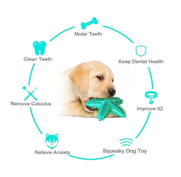 3 Pack Squeaky Dog Toothbrush Toys