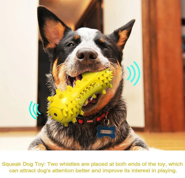 3 Pack Squeaky Dog Toothbrush Toys