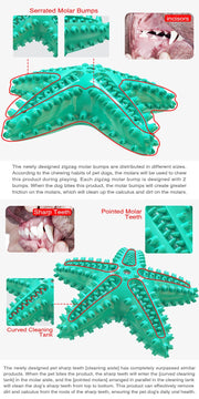 3 Pack Squeaky Dog Toothbrush Toys