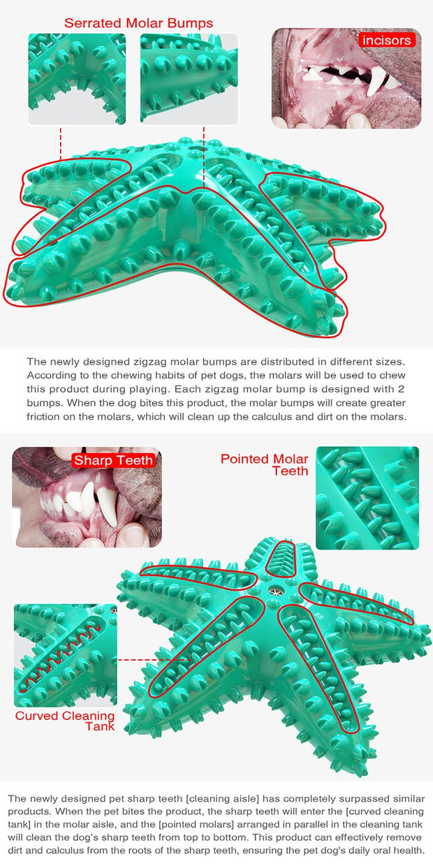 3 Pack Squeaky Dog Toothbrush Toys