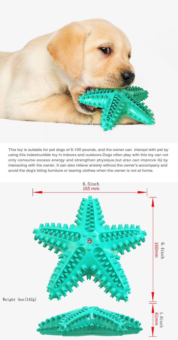 3 Pack Squeaky Dog Toothbrush Toys