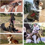 Military Tactical Dog Harness 