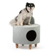 Hollywood Chair for cats and small dogs