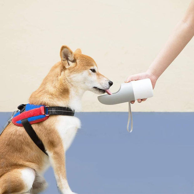 Water and Pet Food Travel Bottle