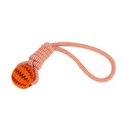 Rubber Ball Chew Toy with Cotton Rope | Dog Toy