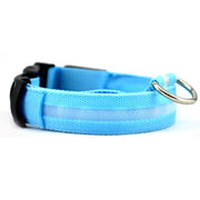 Pet LED Collar (USB Rechargeable)