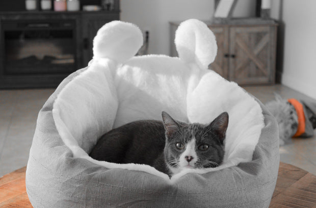Pet Sleeping Bag Cushion