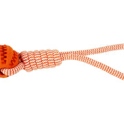 Rubber Ball Chew Toy with Cotton Rope | Dog Toy