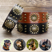 Leather Stud Dog Collar