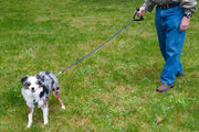 Xtreme Standard Dog Leash