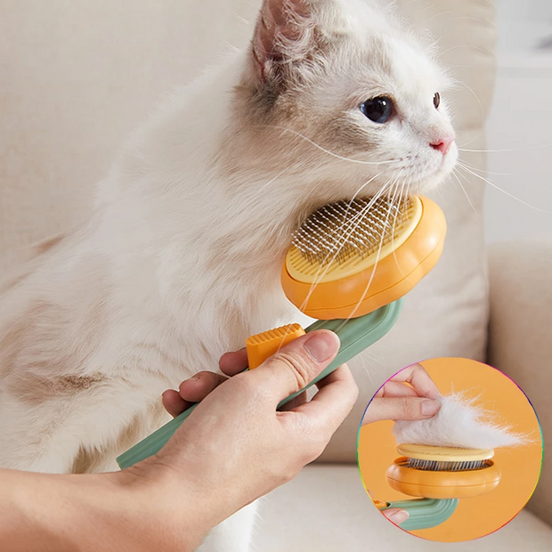Grooming Cat Hair Brush