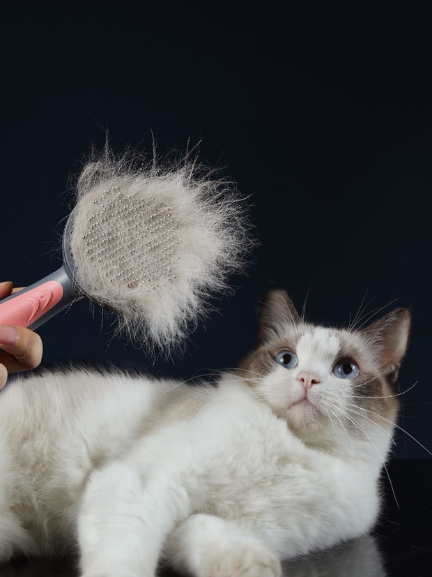 Pet Grooming Hair Brush