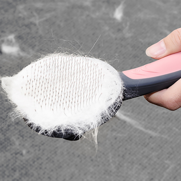 Pet Grooming Hair Brush