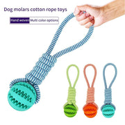 Rubber Ball Chew Toy with Cotton Rope | Dog Toy