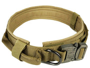 dog collar