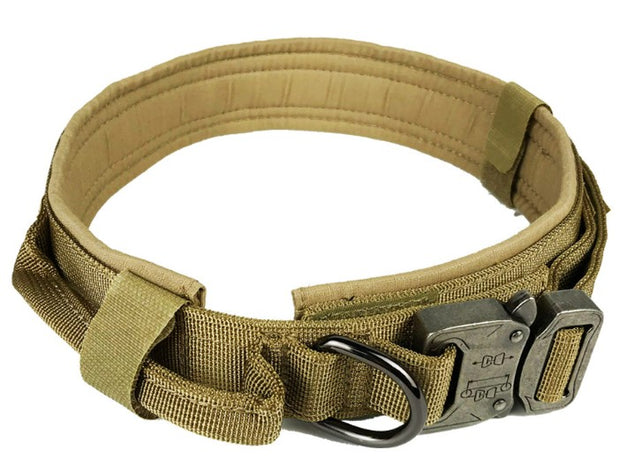 dog collar