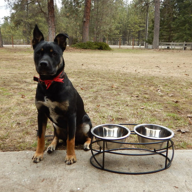 Oval Cross Double Raised Feeder