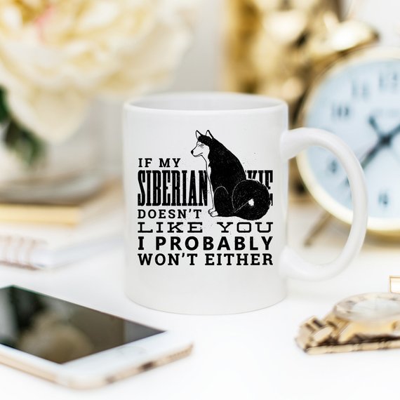 If My Siberian Husky Doesn't Like You