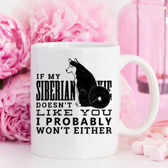 If My Siberian Husky Doesn't Like You