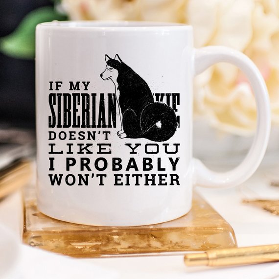 If My Siberian Husky Doesn't Like You