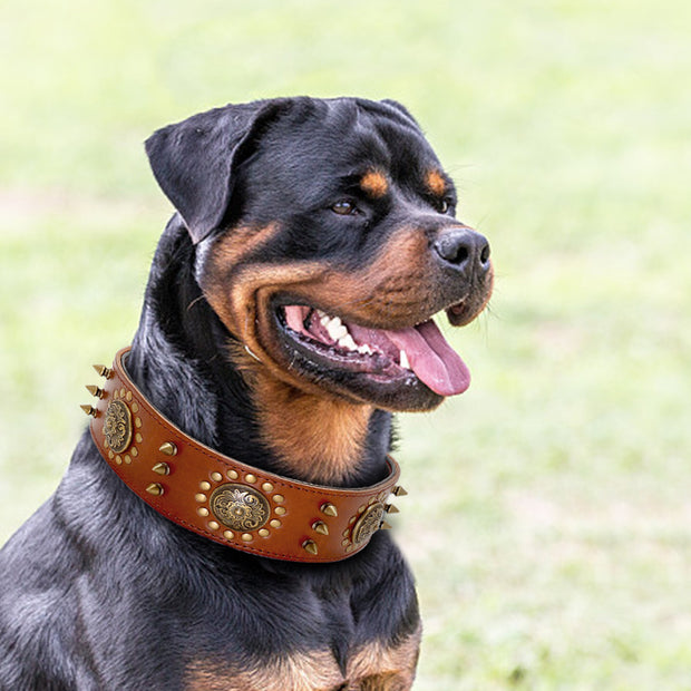 Leather Stud Dog Collar