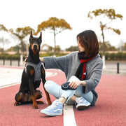 Air Fly Dog Harness