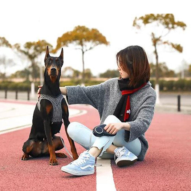 Air Fly Dog Harness