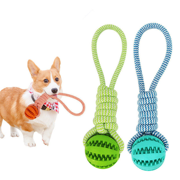 Rubber Ball Chew Toy with Cotton Rope | Dog Toy